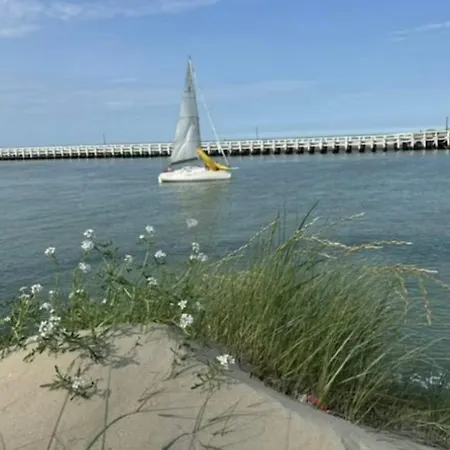 La Mouette C2 150m De La Plage, Terrasse Ensoleillee, Parking Prive Gratuit *