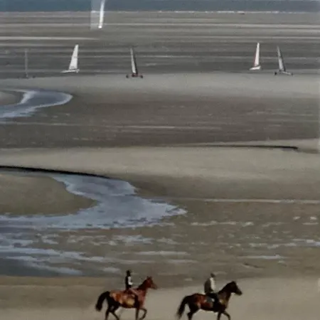 דירה La Mouette C2 150m De La Plage, Terrasse Ensoleillee, Parking Prive Gratuit